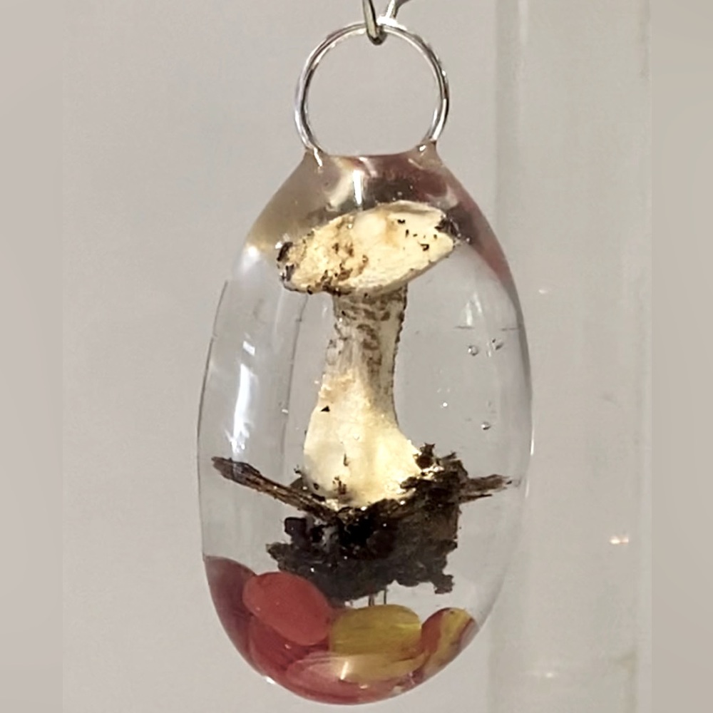 Tiny white mushroom with unknown tumbled stones at base